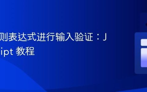 使用正则表达式进行输入验证：JavaScript 教程