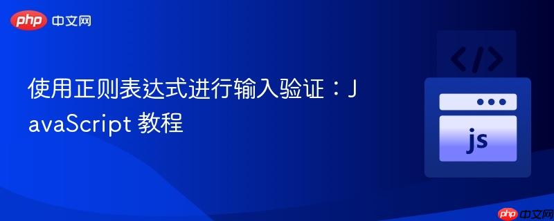 使用正则表达式进行输入验证:javascript 教程