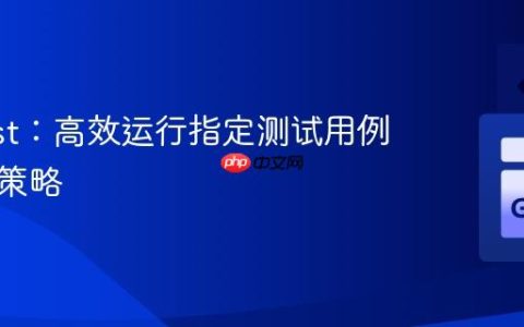 Go Test：高效运行指定测试用例的两种策略
