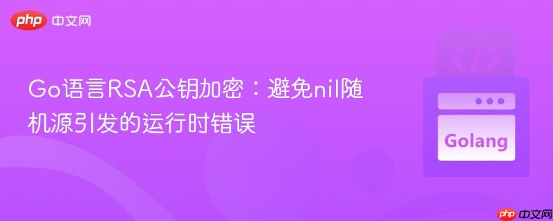 Go语言RSA公钥加密:避免nil随机源引发的运行时错误