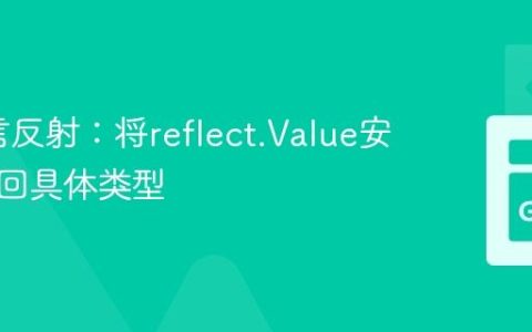 Go语言反射：将reflect.Value安全转换回具体类型