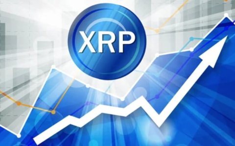 XRP币的交易手续费如何计算_交易XRP时如何选择最低费率的平台
