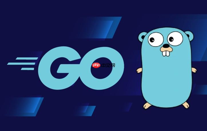 如何在golang中使用reflect获取类型信息