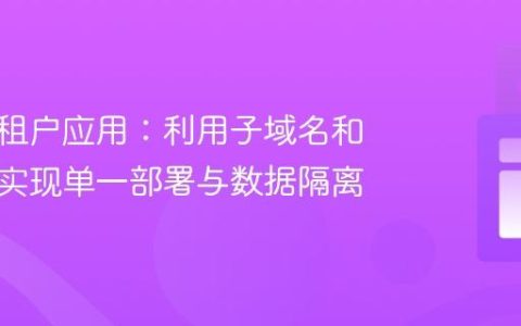构建多租户应用：利用子域名和主机头实现单一部署与数据隔离