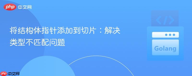 将结构体指针添加到切片:解决类型不匹配问题