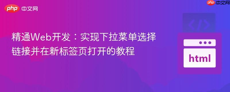 精通Web开发:实现下拉菜单选择链接并在新标签页打开的教程