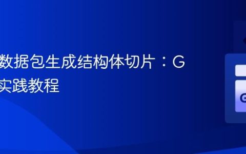从网络数据包生成结构体切片：Go 语言实践教程