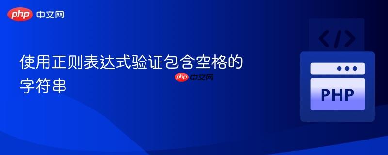 使用正则表达式验证包含空格的字符串