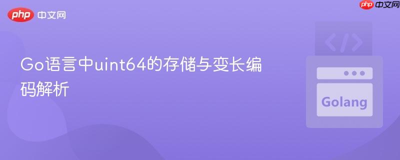 Go语言中uint64的存储与变长编码解析