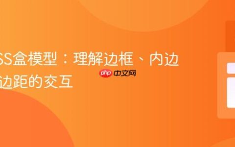 掌握CSS盒模型：理解边框、内边距与外边距的交互