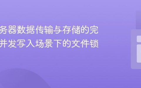 确保服务器数据传输与存储的完整性：并发写入场景下的文件锁定机制