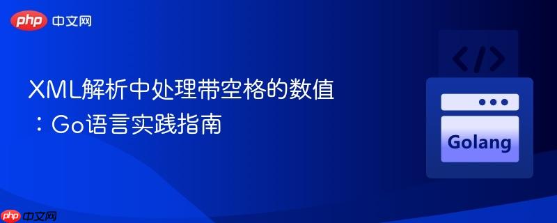 xml解析中处理带空格的数值:go语言实践指南