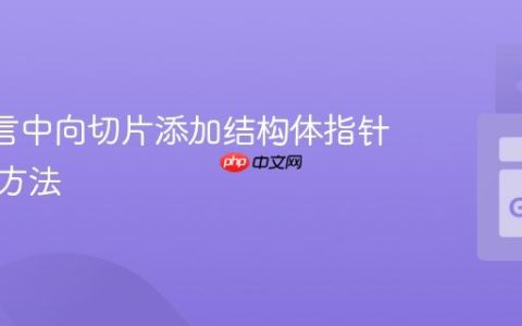 Go 语言中向切片添加结构体指针的正确方法