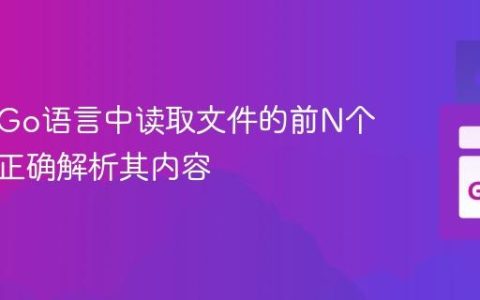 如何在Go语言中读取文件的前N个字节并正确解析其内容