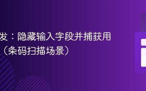 前端开发：隐藏输入字段并捕获用户输入（条码扫描场景）