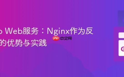 优化Go Web服务：Nginx作为反向代理的优势与实践