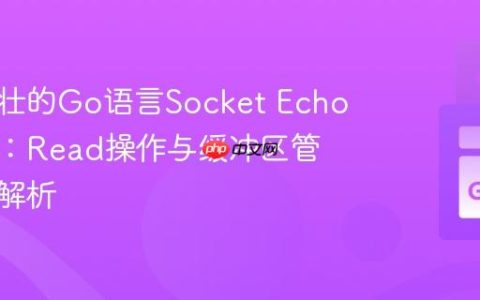 构建健壮的Go语言Socket Echo服务器：Read操作与缓冲区管理深度解析