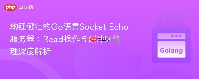构建健壮的go语言socket echo服务器:read操作与缓冲区管理深度解析