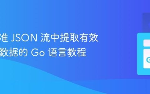 从非标准 JSON 流中提取有效 JSON 数据的 Go 语言教程