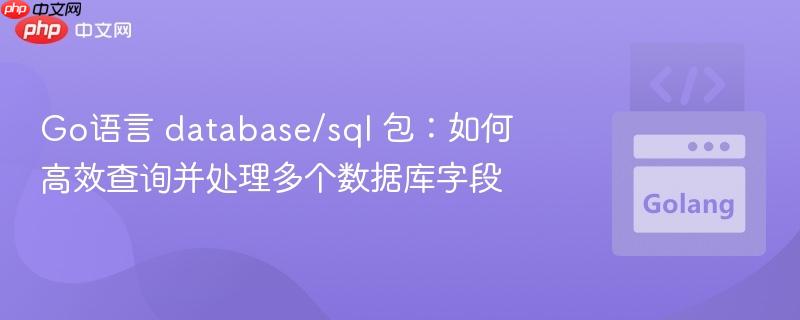 Go语言 database/sql 包:如何高效查询并处理多个数据库字段