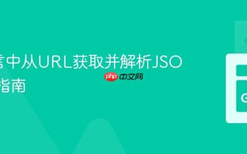 Go语言中从URL获取并解析JSON数据指南