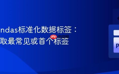 使用Pandas标准化数据标签：按ID获取最常见或首个标签