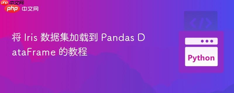将 iris 数据集加载到 pandas dataframe 的教程