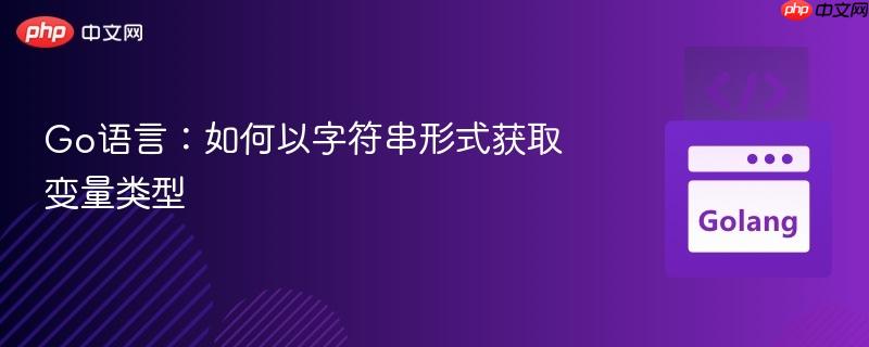 Go语言:如何以字符串形式获取变量类型