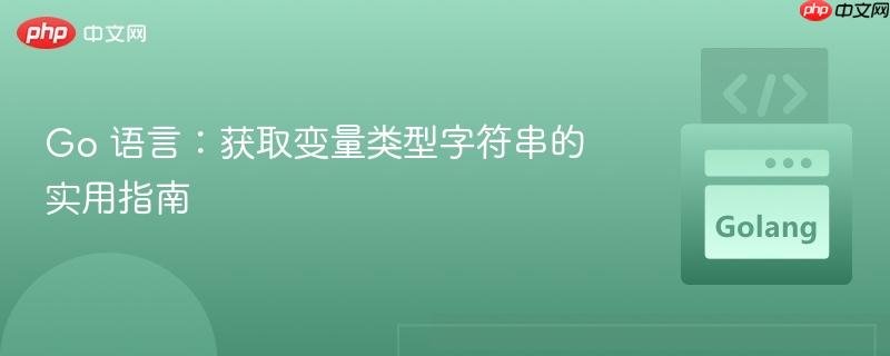 Go 语言:获取变量类型字符串的实用指南