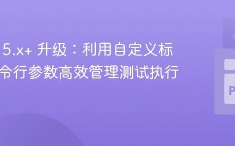 Pytest 5.x+ 升级：利用自定义标记和命令行参数高效管理测试执行