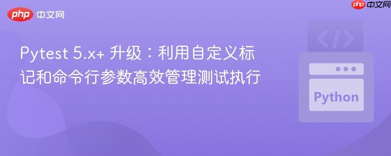 Pytest 5.x+ 升级:利用自定义标记和命令行参数高效管理测试执行
