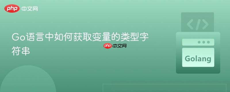 Go语言中如何获取变量的类型字符串
