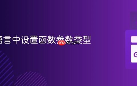在Go语言中设置函数参数类型