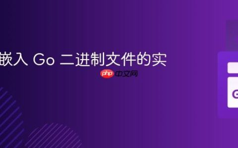 将文件嵌入 Go 二进制文件的实用指南