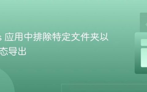 Next.js 应用中排除特定文件夹以进行静态导出