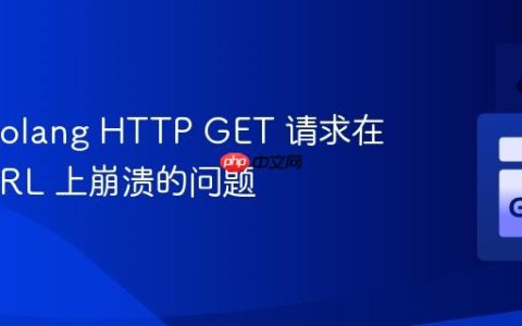 解决 Golang HTTP GET 请求在某些 URL 上崩溃的问题