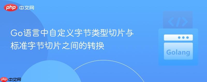 go语言中自定义字节类型切片与标准字节切片之间的转换