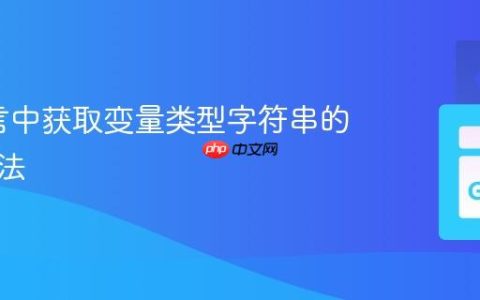 Go语言中获取变量类型字符串的实用方法