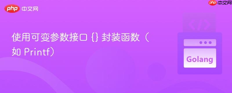使用可变参数接口 {} 封装函数(如 printf)