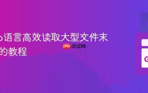 使用Go语言高效读取大型文件末尾内容的教程