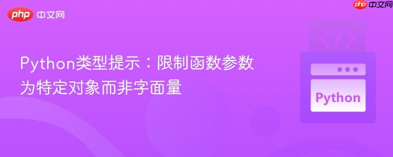 python类型提示:限制函数参数为特定对象而非字面量