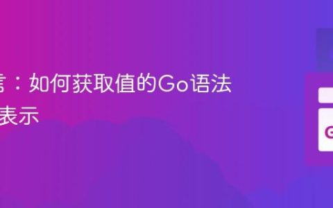 Go语言：如何获取值的Go语法字面量表示