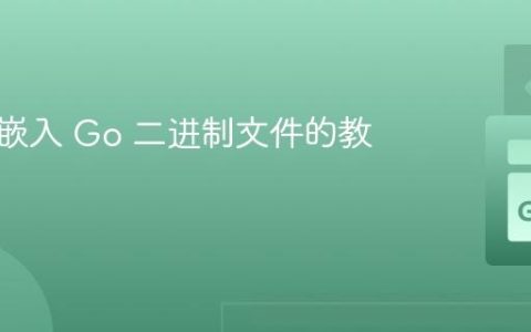 将文件嵌入 Go 二进制文件的教程