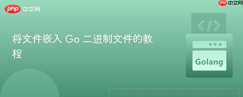 将文件嵌入 go 二进制文件的教程