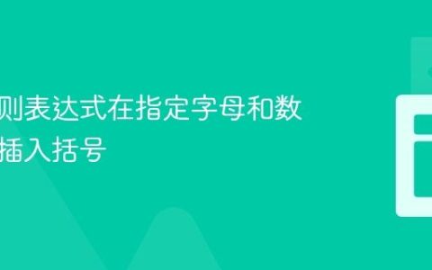 使用正则表达式在指定字母和数字之间插入括号