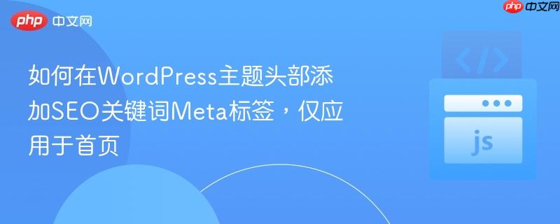 如何在wordpress主题头部添加seo关键词meta标签，仅应用于首页