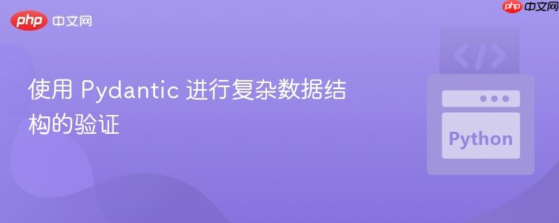 使用 pydantic 进行复杂数据结构的验证