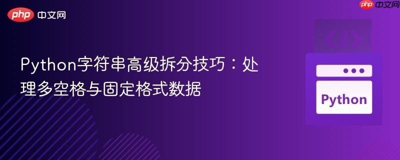 Python字符串高级拆分技巧:处理多空格与固定格式数据