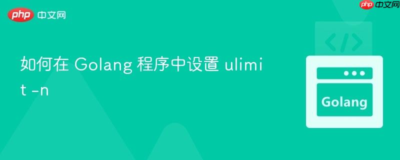 如何在 golang 程序中设置 ulimit -n