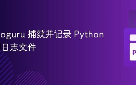 使用 Loguru 捕获并记录 Python 异常到日志文件